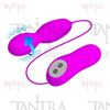 Mini microfono vibrador con control